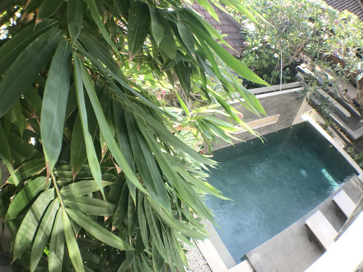 Kubu Munggu Denpasar (Bali)